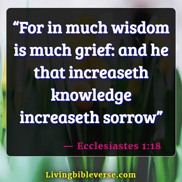 Bible Verses About Human Knowledge (Ecclesiastes 1:18)