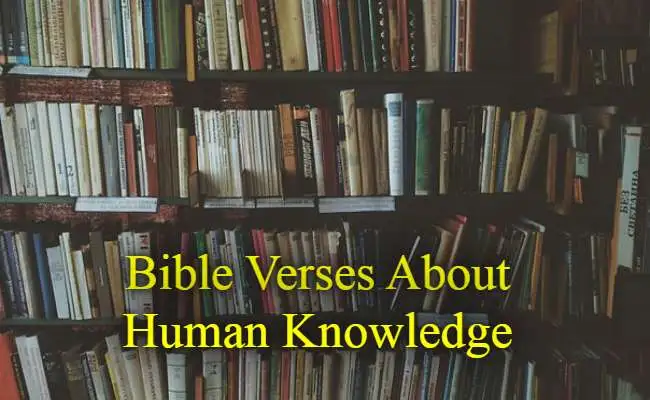Bible Verses About Human Knowledge