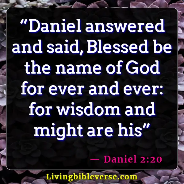 Bible Verses About Solomon's Wisdom (Daniel 2:20)