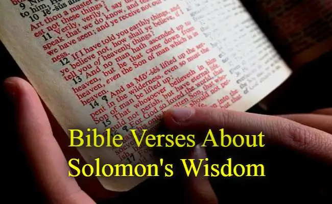 Bible Verses About Solomon's Wisdom