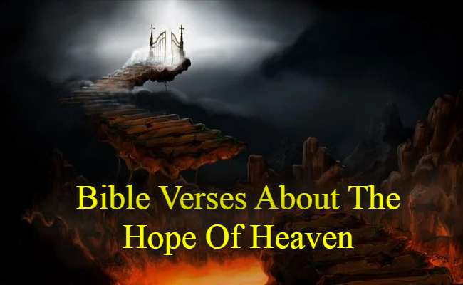 Bible Verses About The Hope Of Heaven