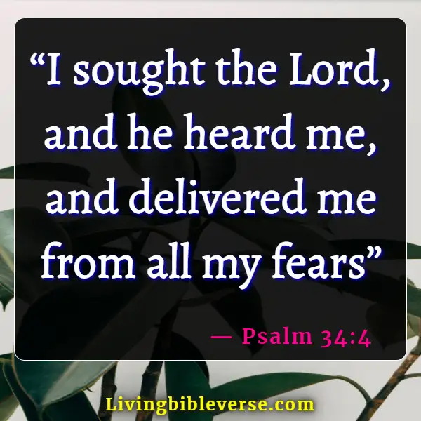 Bible Verses To Help With Anxiety (Psalm 34:4)