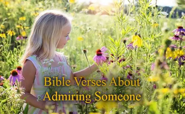 Bible Verses About Admiring Someone