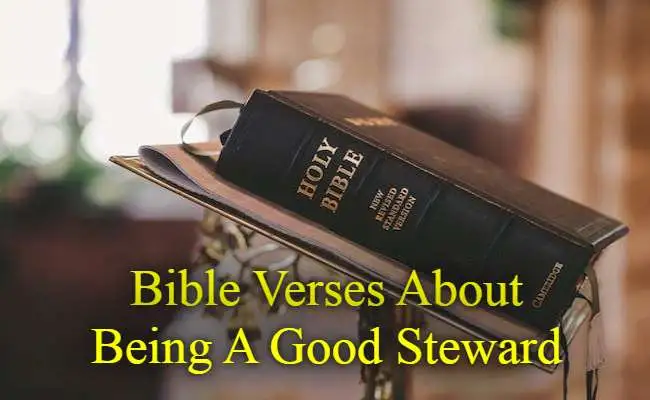 Bible Verses About Being A Good Steward