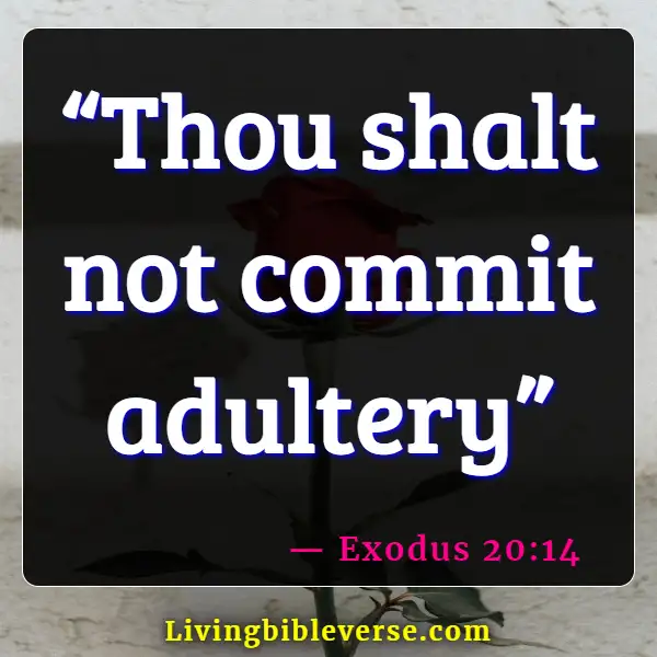 Bible Verses About Committing Adultery And Lust In Your Heart (Exodus 20:14)