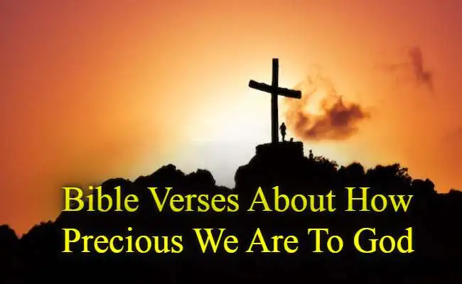 Bible Verses About How Precious We Are To God