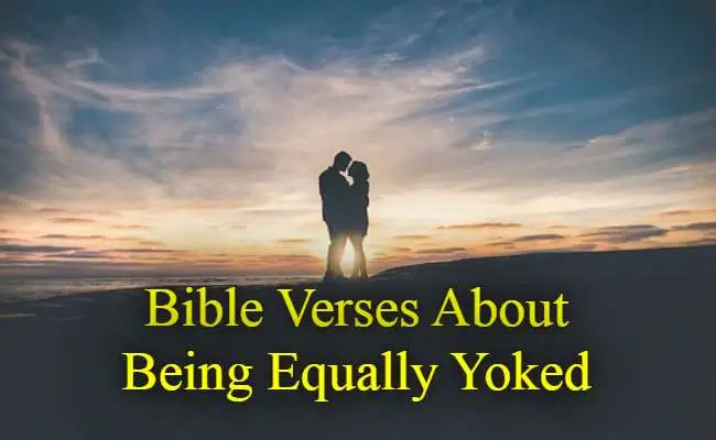 Bible Verses About Being Equally Yoked