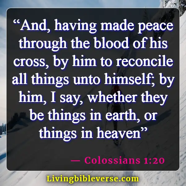 Bible Verses About Blessed Are The Peacemakers (Colossians 1:20)