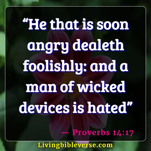 Bible Verses About Controlling Emotions And Anger (Proverbs 14:17)