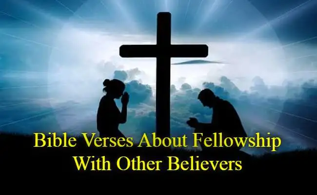 Bible Verses About Fellowship With Other Believers