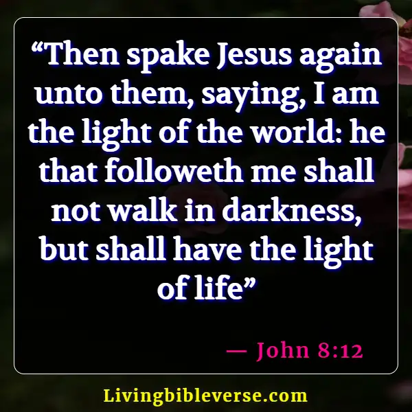 Bible Verses About Jesus Being The Light (John 8:12)