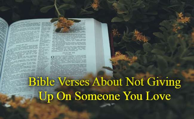 Bible Verses About Not Giving Up On Someone You Love
