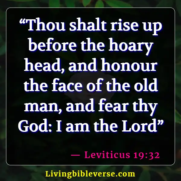 Bible Verses About Taking Care Of Your Elderly Parents (Leviticus 19:32)