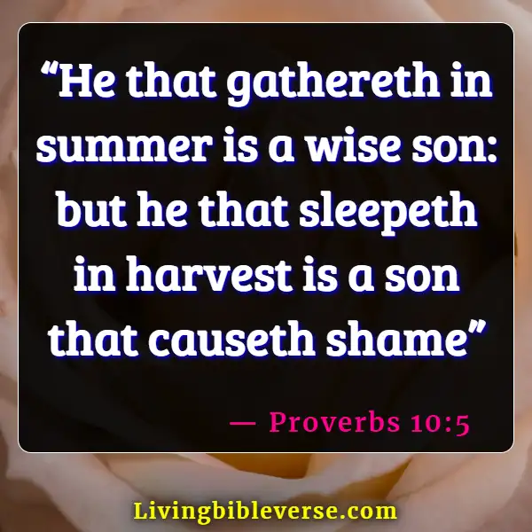 Bible Verses To Overcome Laziness And Procrastination (Proverbs 10:5)
