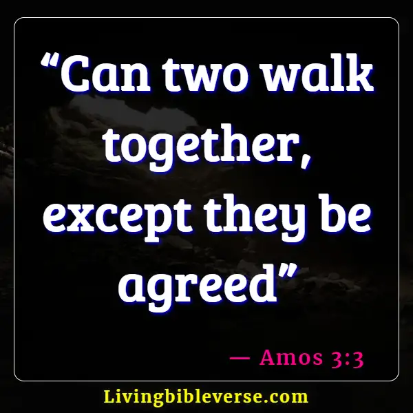 Bible Verses About Group Fellowship (Amos 3:3)
