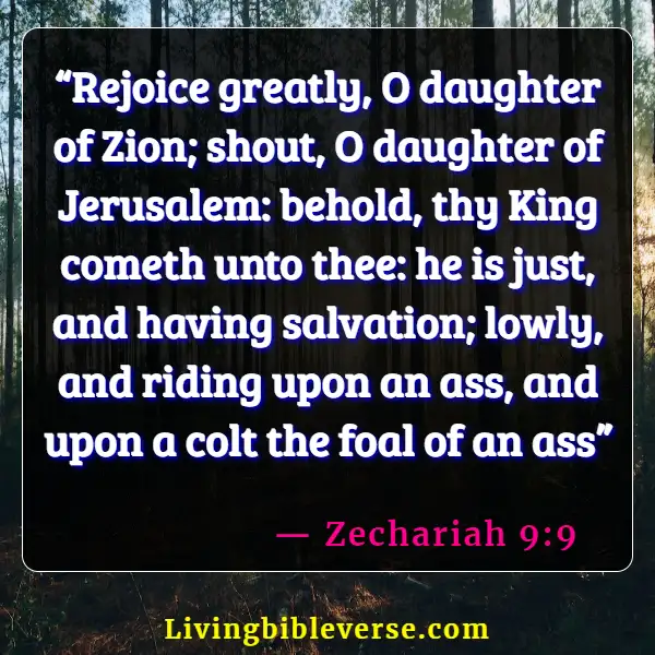 Bible Verses About Overcoming The Devil (Zechariah 9:9)
