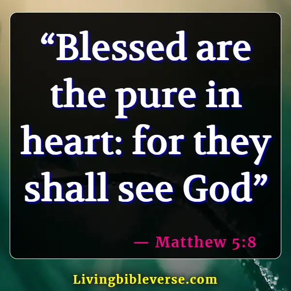 Bible Verses About Smiling Being Happy And Enjoying Life (Matthew 5:8)