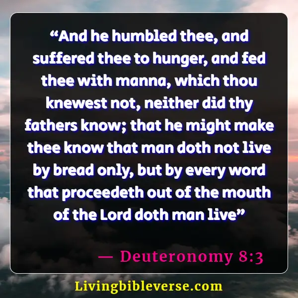 Bible Verse For Feeding The Hungry (Deuteronomy 8:3)