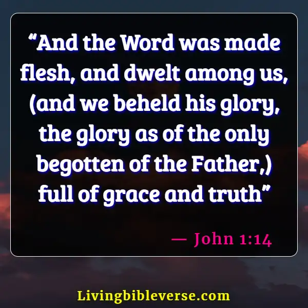 Bible Verses For Bible Study Group (John 1:14)