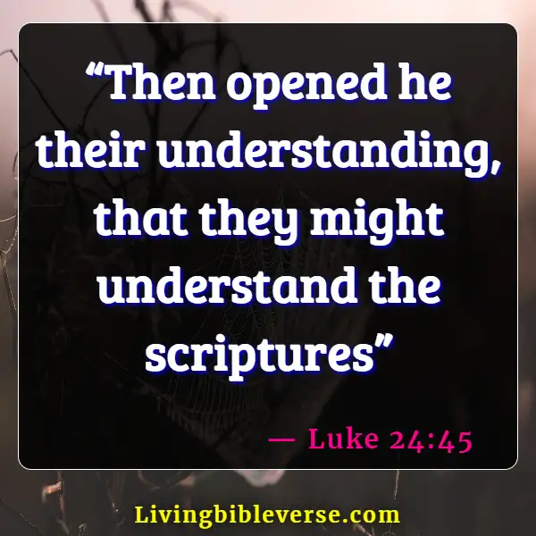 Bible Verses For Bible Study Group (Luke 24:45)