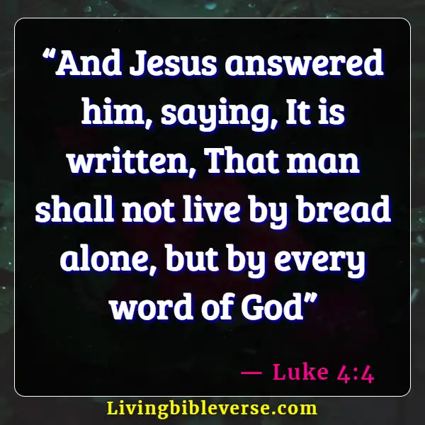 Bible Verses For Bible Study Group (Luke 4:4)
