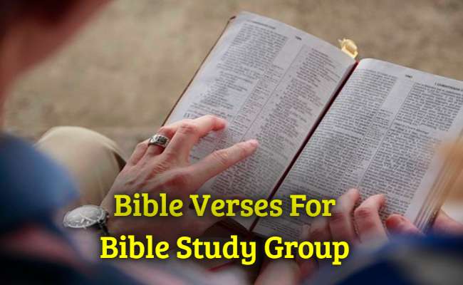 Bible Verses For Bible Study Group