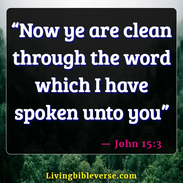 Bible Verses About Being Clean And Organized (John 15:3)