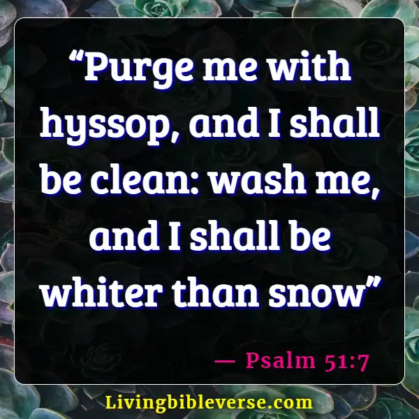 Bible Verses About Being Clean And Organized (Psalm 51:7)