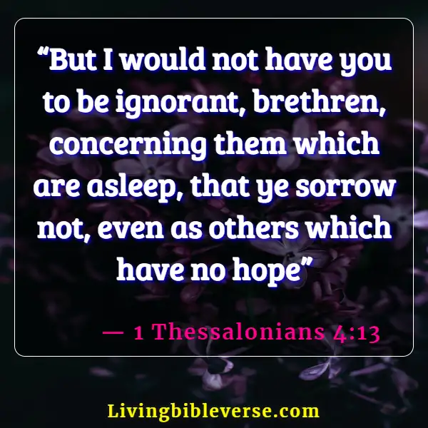 Bible Verses About Celebrating Life After Death (1 Thessalonians 4:13)