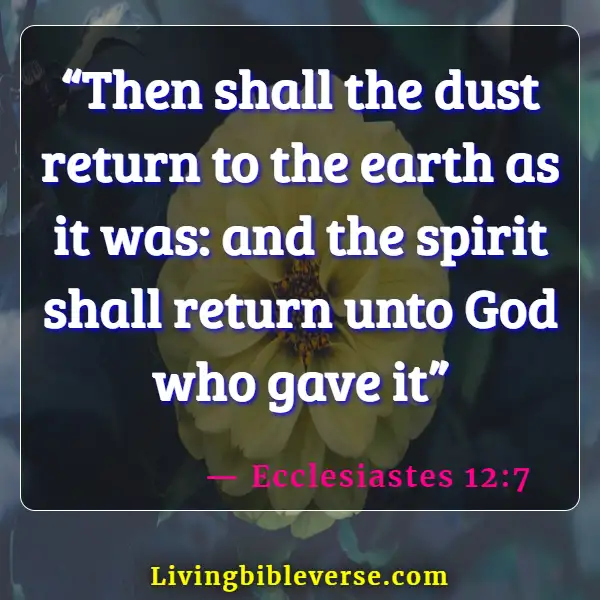 Bible Verses About Celebrating Life After Death (Ecclesiastes 12:7)