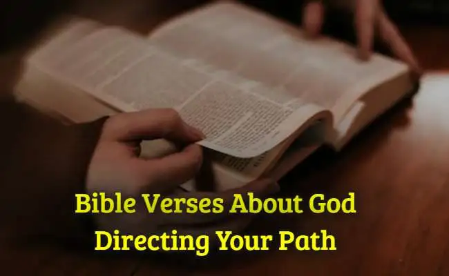 Bible Verses About God Directing Your Path