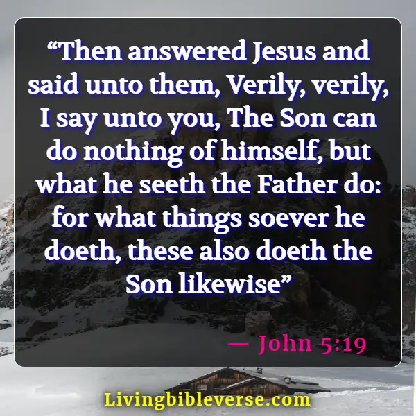 Bible Verses About Jesus Doing The Will Of The Father (John 5:19)