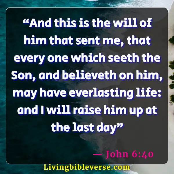 Bible Verses About Jesus Doing The Will Of The Father (John 6:40)
