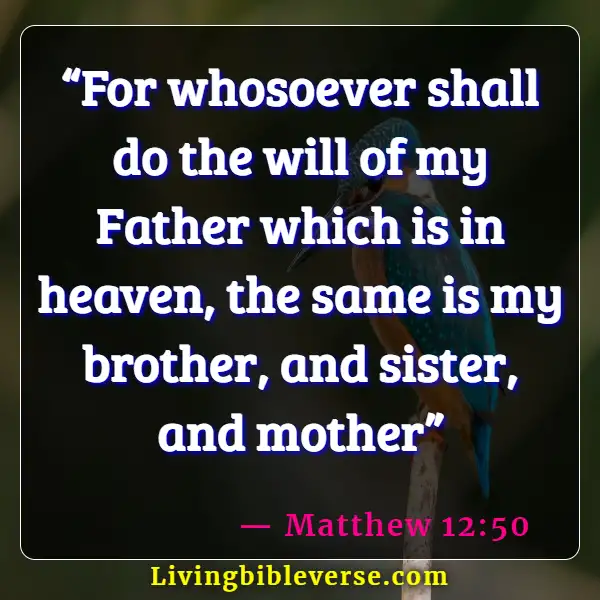 Bible Verses About Jesus Doing The Will Of The Father (Matthew 12:50)