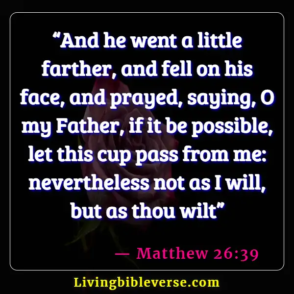 Bible Verses About Jesus Doing The Will Of The Father (Matthew 26:39)