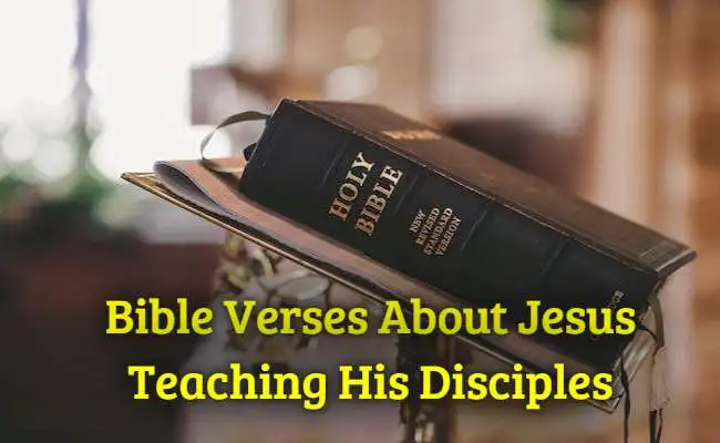 Bible Verses About Jesus Teaching His Disciples