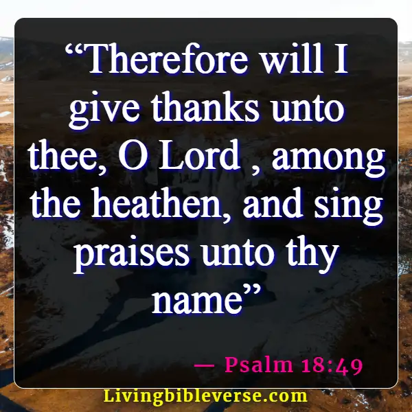 Bible Verses About Singing To The Lord (Psalm 18:49)