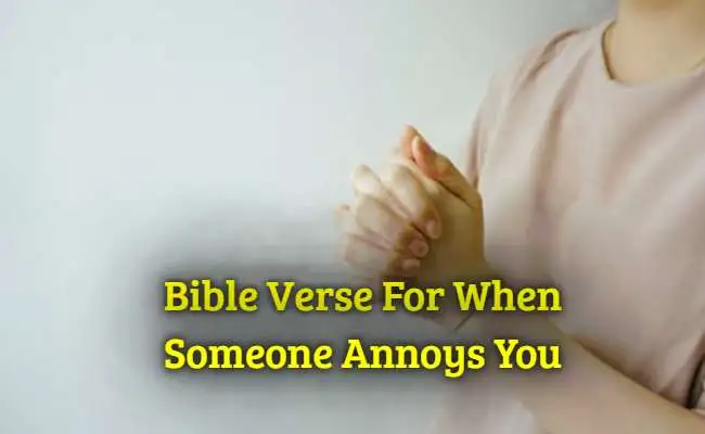 Bible Verse For When Someone Annoys You