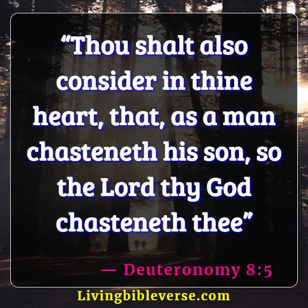 Bible Verses About Discipline (Deuteronomy 8:5)
