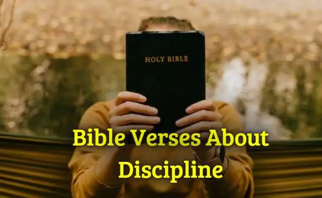 Bible Verses About Discipline