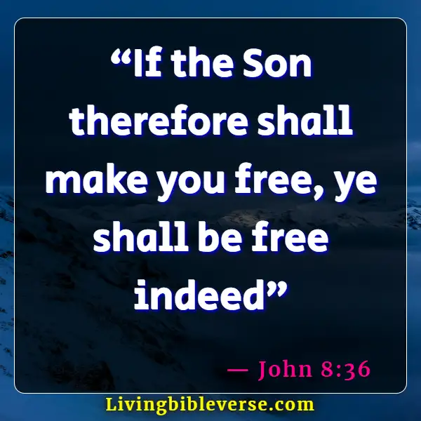 Bible Verses About Freedom Of Choice (John 8:36)