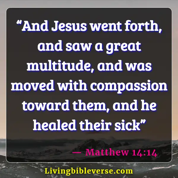 Bible Verses About Physical Pain And Healing (Matthew 14:14)