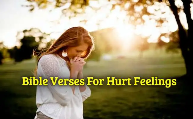 Bible Verses For Hurt Feelings