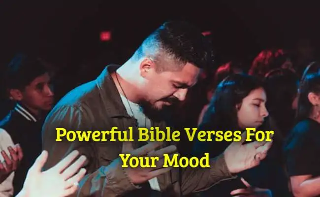 Powerful Bible Verses For Your Mood