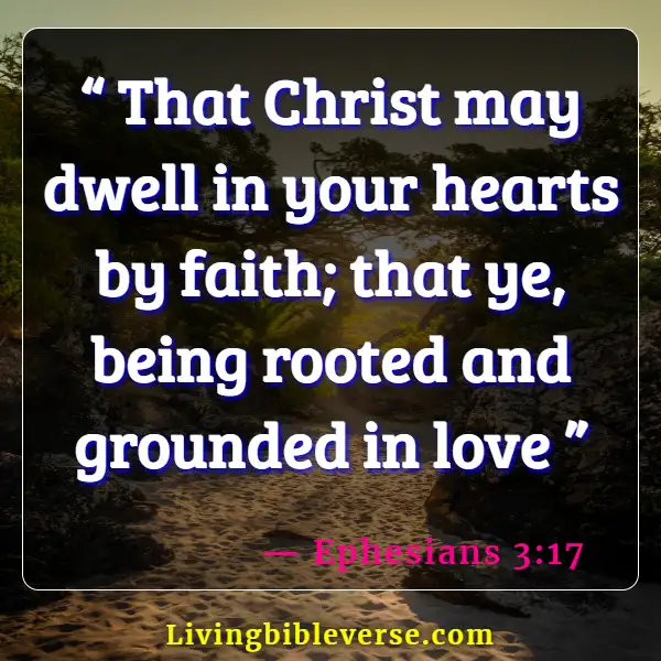 Bible Verse Being Rooted And Grounded (Ephesians 3:17)