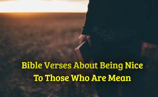 Bible Verses About Being Nice To Those Who Are Mean