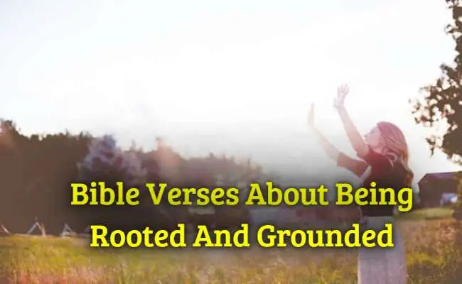 Bible Verses About Being Rooted And Grounded