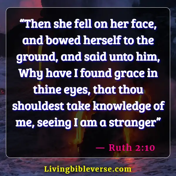 Bible Verses About Gods Unmerited Favor (Ruth 2:10 )