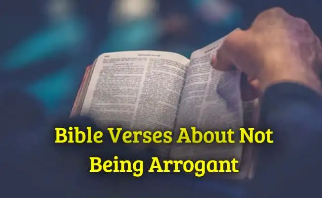 Bible Verses About Not Being Arrogant