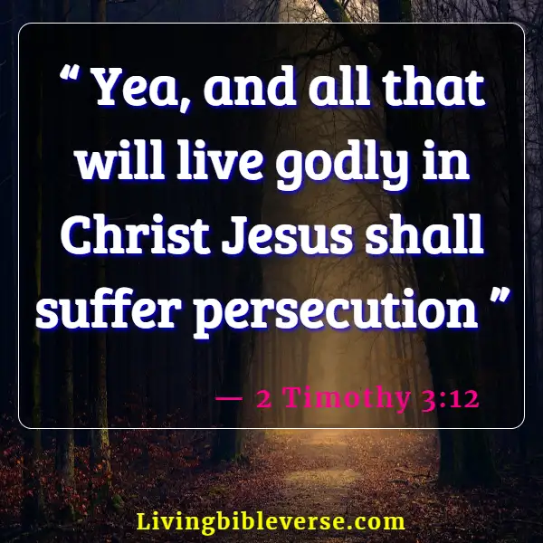 Bible Verse About Suffering Being Temporary (2 Timothy 3:12)